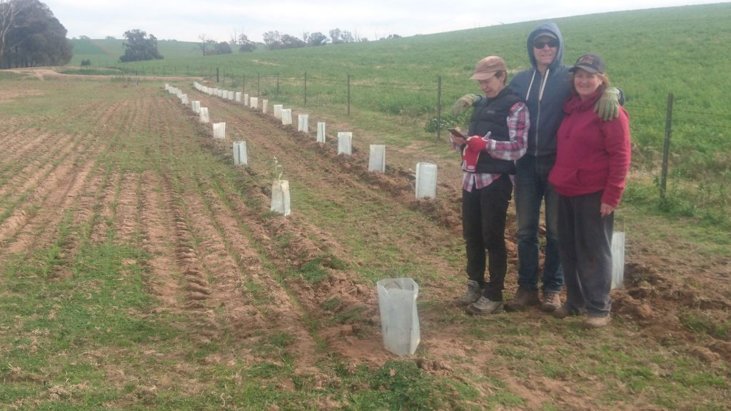 Planting trees on the northern side of the containment area for shade and shelter.